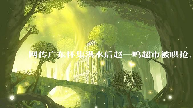 网传广东怀集洪水后赵一鸣超市被哄抢，县***回应相关单位正在核实，若属实哄抢者该承担哪些法律责任？