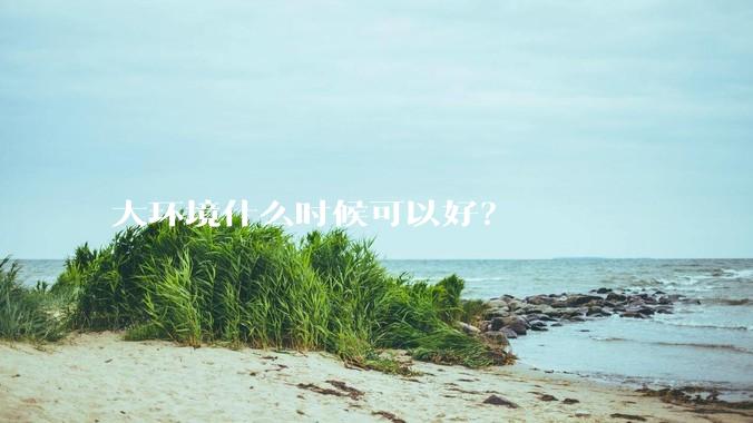 大环境什么时候可以好？