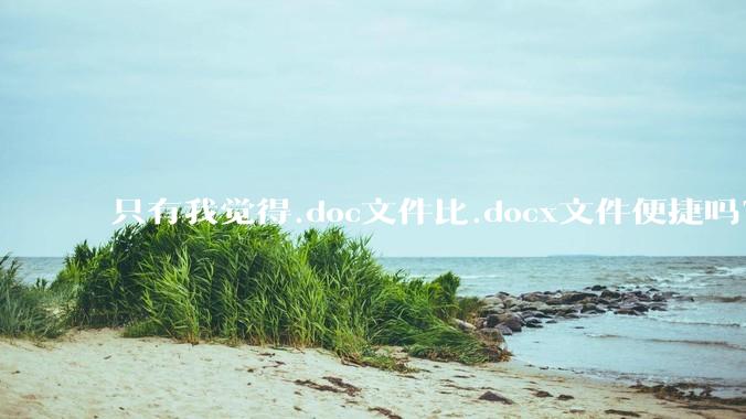 只有我觉得.doc文件比.docx文件便捷吗？
