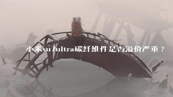 小米su7ultra碳纤维件是否溢价严重?